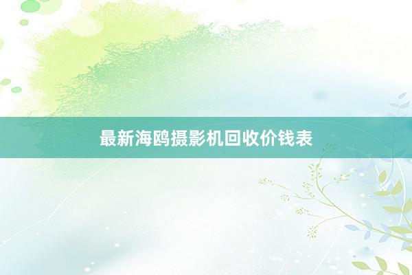 最新海鸥摄影机回收价钱表